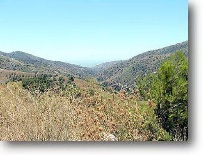 Rural land for Sale in Torrox, Torrox..