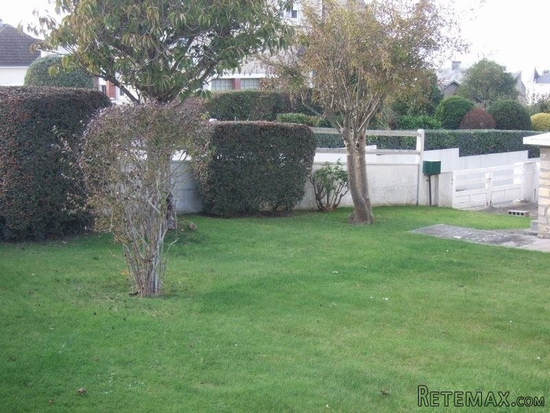 Nice Detached House and Garden - 2