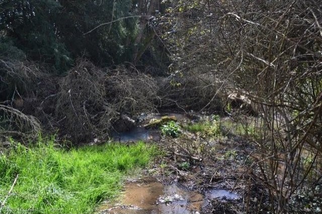 Barn to Renovate with river frontage - 2