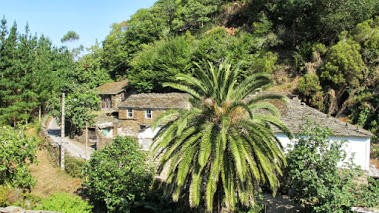 10 Bed Farm For Sale 10 13,595 Sq. Ft*
