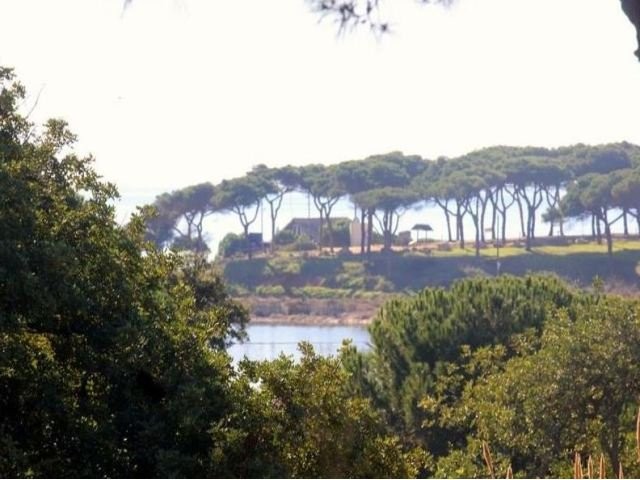 5 Bedrooms - Land / Ruin - Algarve -..