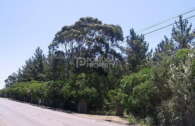 A Plot of Land in Great Location - 2