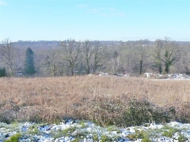 Building Land