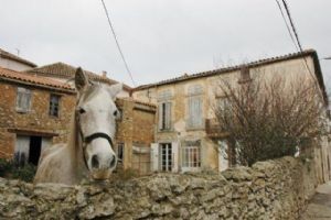Unmodernised Maison De Maitre Property
