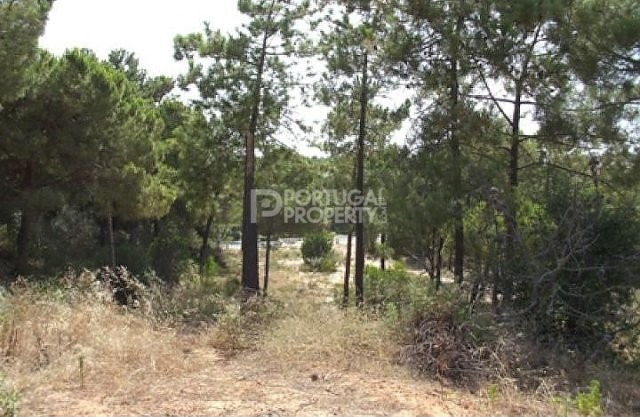 Land - 2