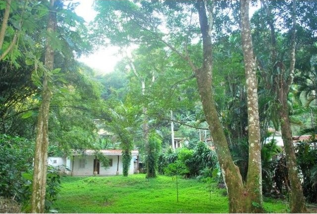 3000sqm land plot in Brazil