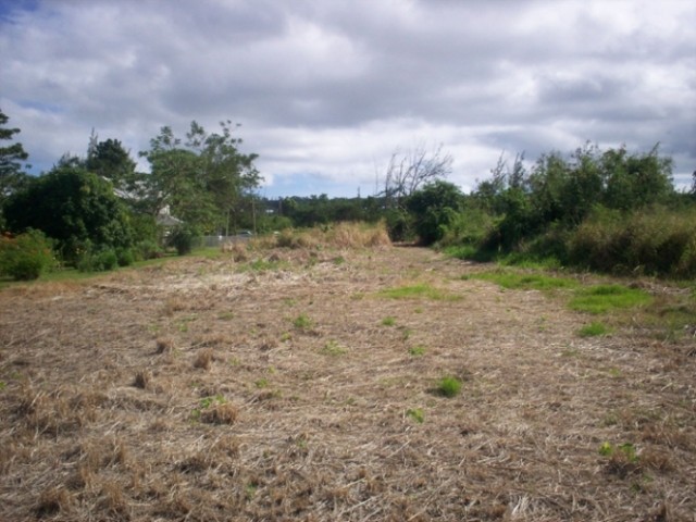Property For Sale: Gibbes Hill Lot 17B..