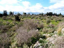 Within Walking Distance To The Village..