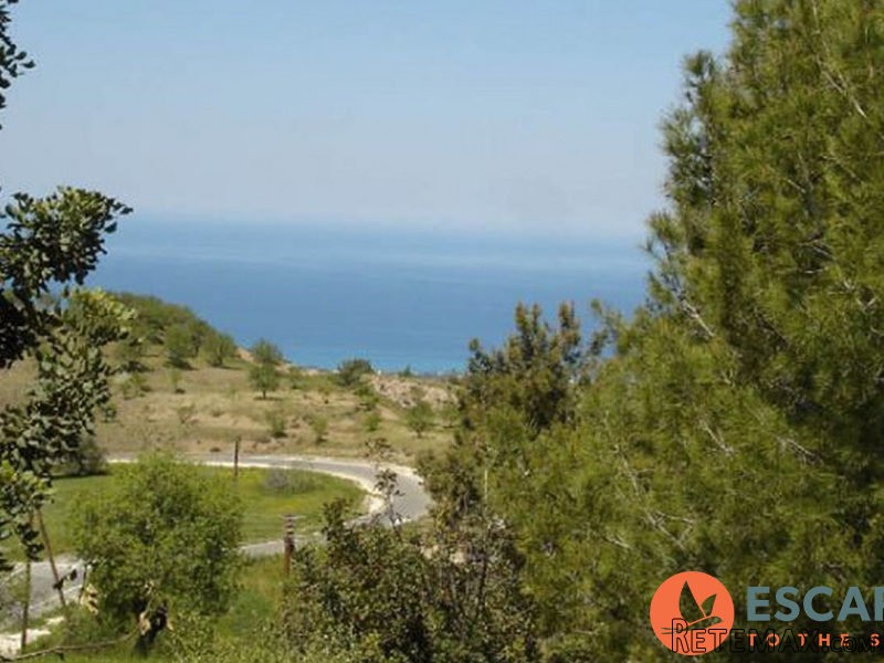 Kinousa Plots, Polis - 2