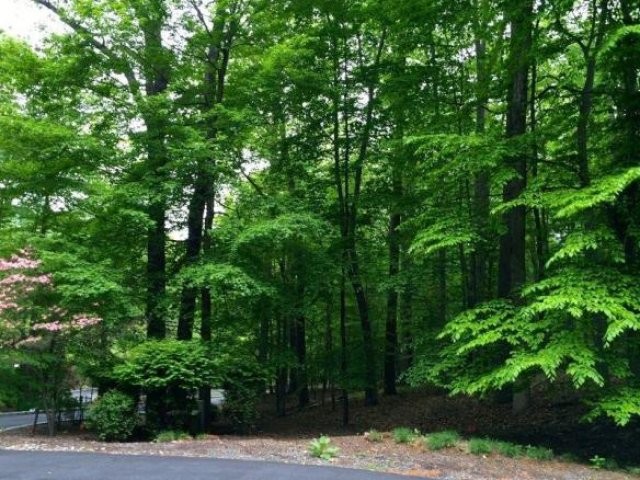 Land For Sale: 26 Arborview Way