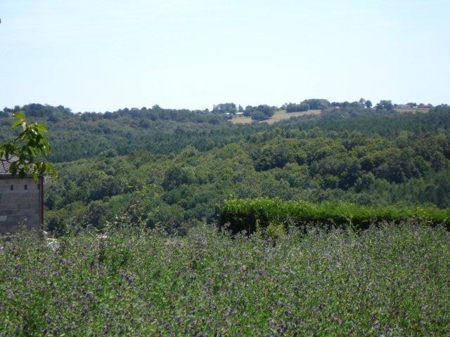 25203 - Vente - Terrain - Vergt