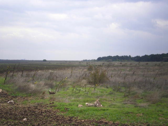 Land in Balchik - 2