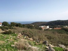 West Crete Real Estate
