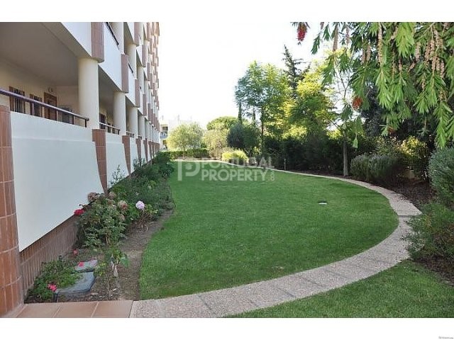 Gorgeous 3 bedroom apartments in great.. - 2