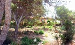 - Land - For Sale