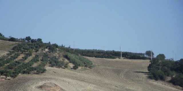 Property for sale in Molise - Land..