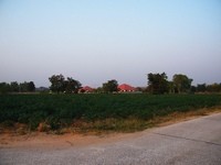 Land For Sale Nakonratchasima Nakhon.. - 2