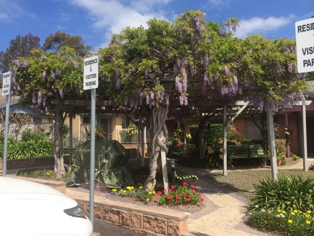 Lakeview Village - Independent Living -..