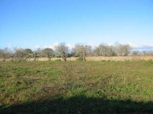 Finca plot with small store house and.. - 2