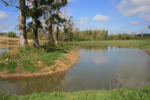 House For Sale: 17000 CHARENTE MARITIME - 2