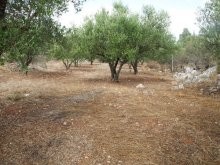 Plot For Sale East Of Chania - 2