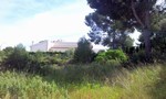 - Land - For Sale