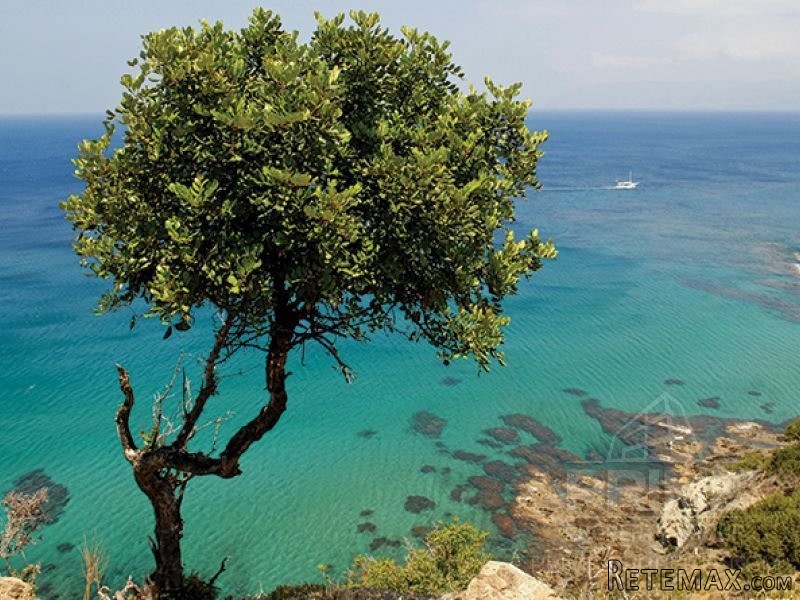 Land in Paphos, Cyprus, for Sale -..