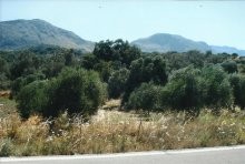 Land For Sale In Crete - 2