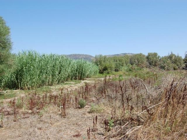 Rustic land with planning permission - 2
