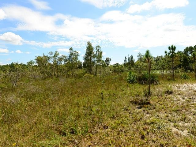 Land For Sale: Jupiter, Florida - 2