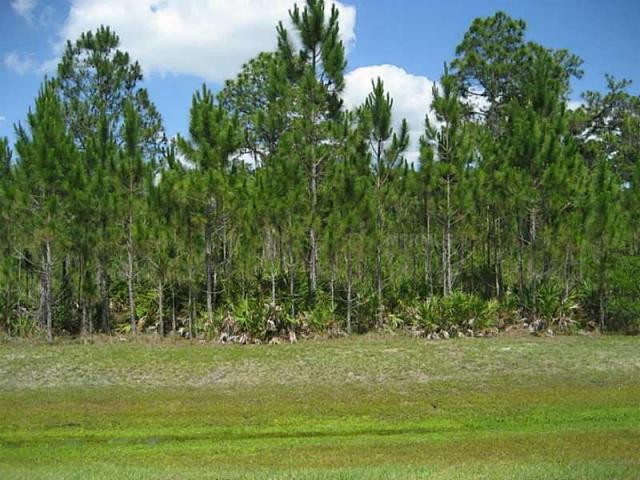 Land For Sale: 7431 201st E St.. - 2