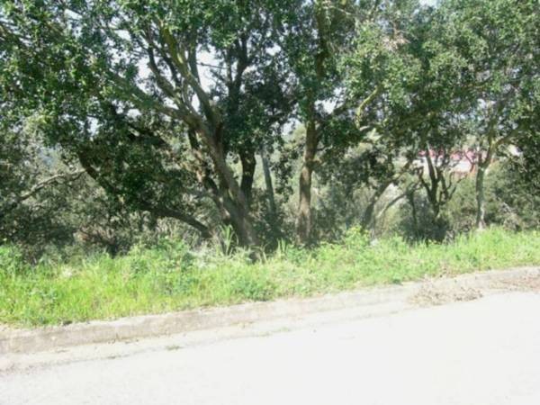 PLOT WITH VIEWS TO THE TOWN OF BEGUR