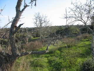 Te Koop: Bouwkavel In West Algarve.. - 2