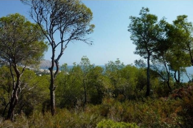 Building Plot, Altea, Costa Blanca.. - 2