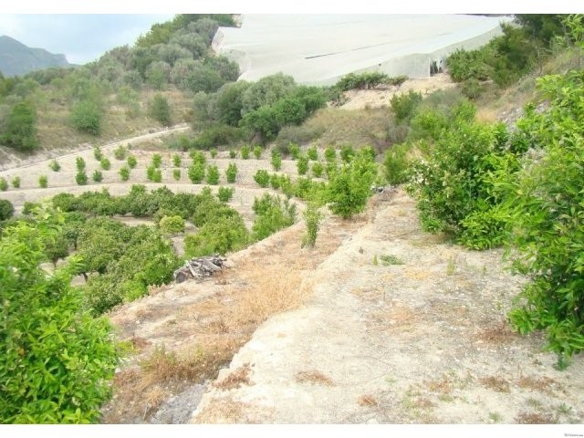 Callosa d'en Sarria, Costa Blanca - 2