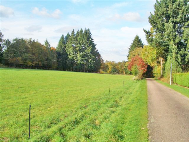 Building Plot Of 8,407 m2 In The.. - 2