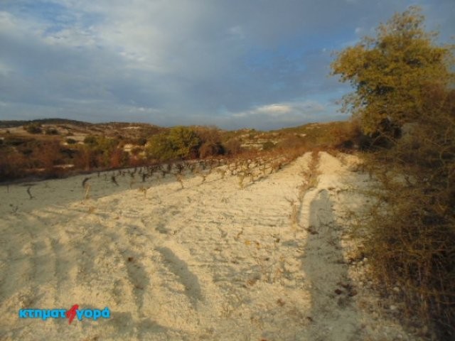Agricultural Land in Psathi, Pafos - 2