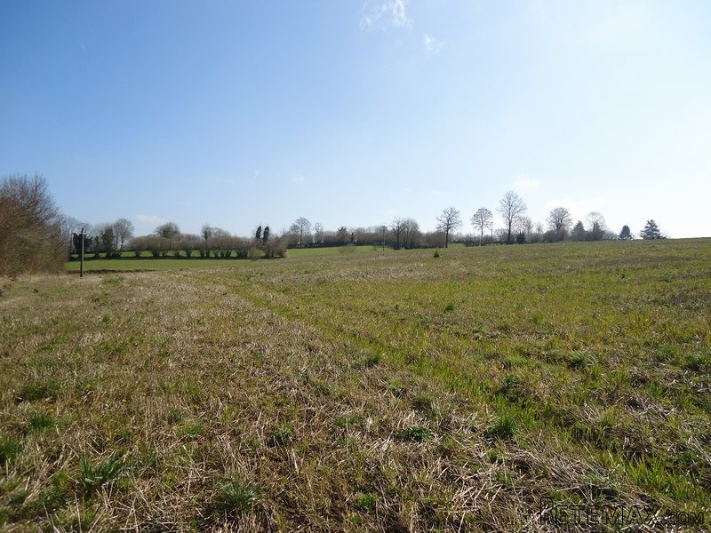 House with Outbuildings and 4.8 Hectares - 2