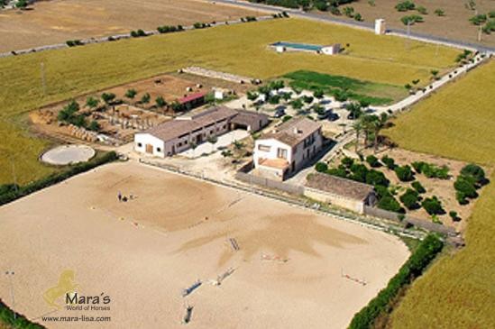 Centro ecuestre hipica finca Manacor..