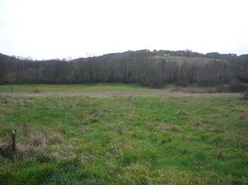 Building plot with stream on the edge..