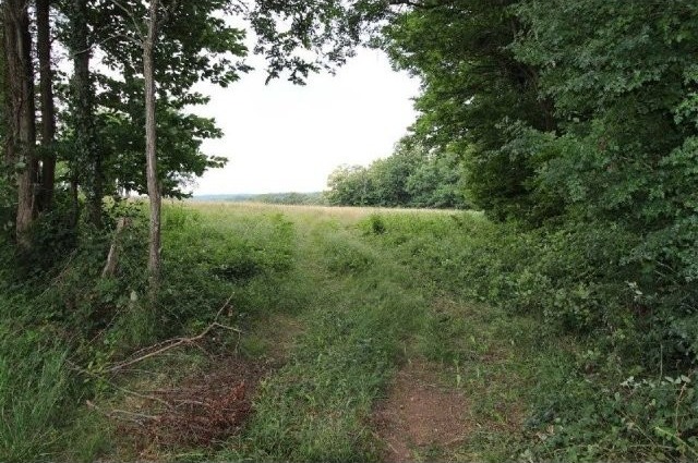 27136 - Vente - Terrain - Vergt