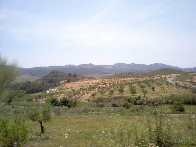 3 Bedrooms - Bungalow - Almeria - For.. - 2