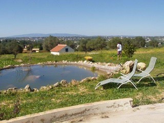 For Sale: Plot In Central Algarve..
