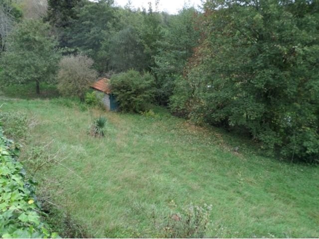 Edge of Village Location with Beautiful.. - 2