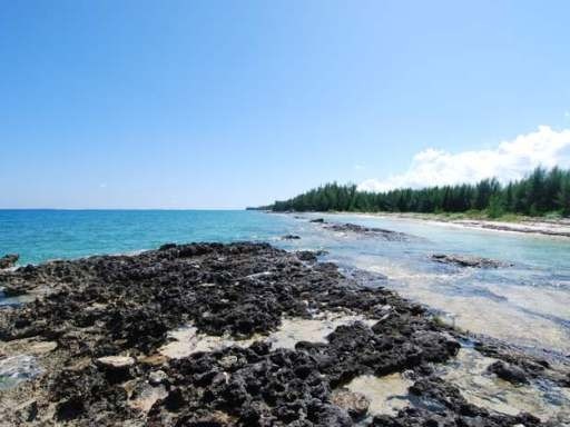 Singlefamilyvacant - Well Suited for a.. - 2