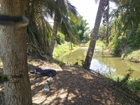 Land For Sale Pak Chong Nakhon.. - 2