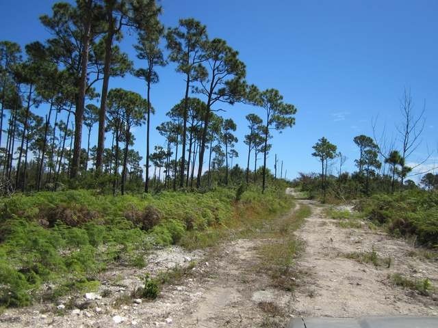 Singlefamilyvacant - Very affordable.. - 2
