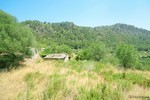 3 Bedrooms - Finca - For Sale - 2