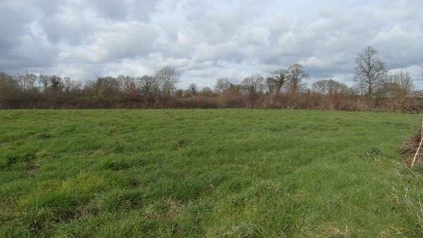 Vast Property, Outbuildings, Land - 2