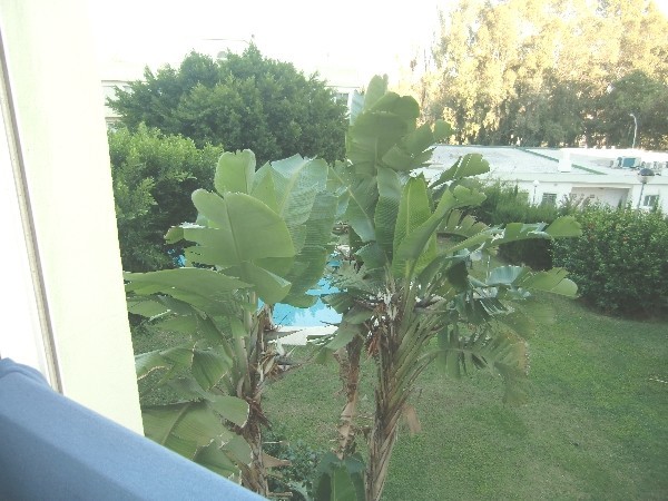 3 Bed Apartment for sale in Torremolinos - 2